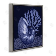 Paul Brent | Shadow Nautilus Shell