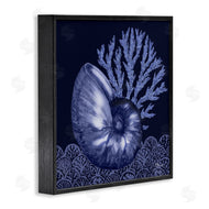 Paul Brent | Shadow Nautilus Shell