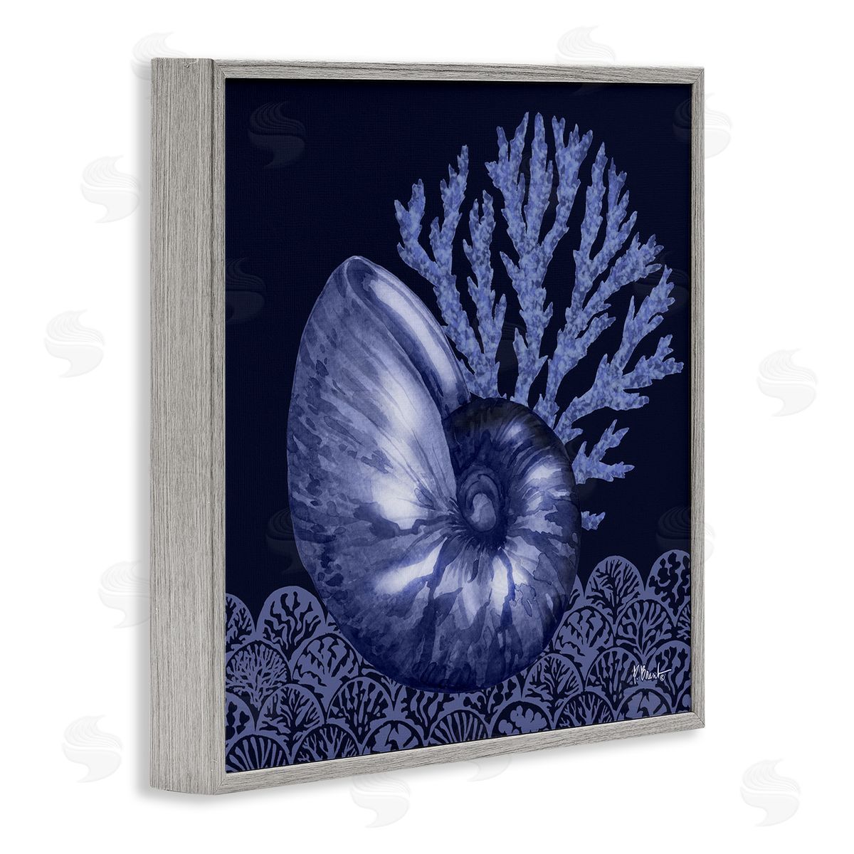 Shadow Nautilus Shell Grey Frame Print Wall Art, Home Decor by Paul Brent