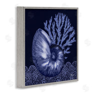 Paul Brent | Shadow Nautilus Shell