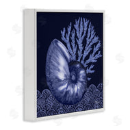 Paul Brent | Shadow Nautilus Shell