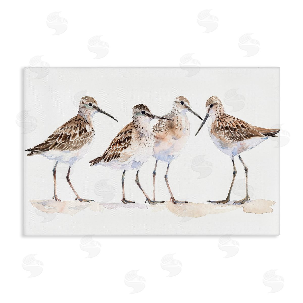 Sand Pipers Gathered Canvas Wall Art, Home Decor by Petal Prints Design