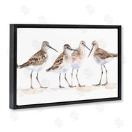 Petal Prints Design | Sand Pipers Gathered