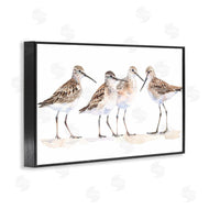 Petal Prints Design | Sand Pipers Gathered