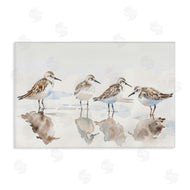 Petal Prints Design | Sandpipers Shore Reflection