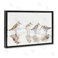Petal Prints Design | Sandpipers Shore Reflection