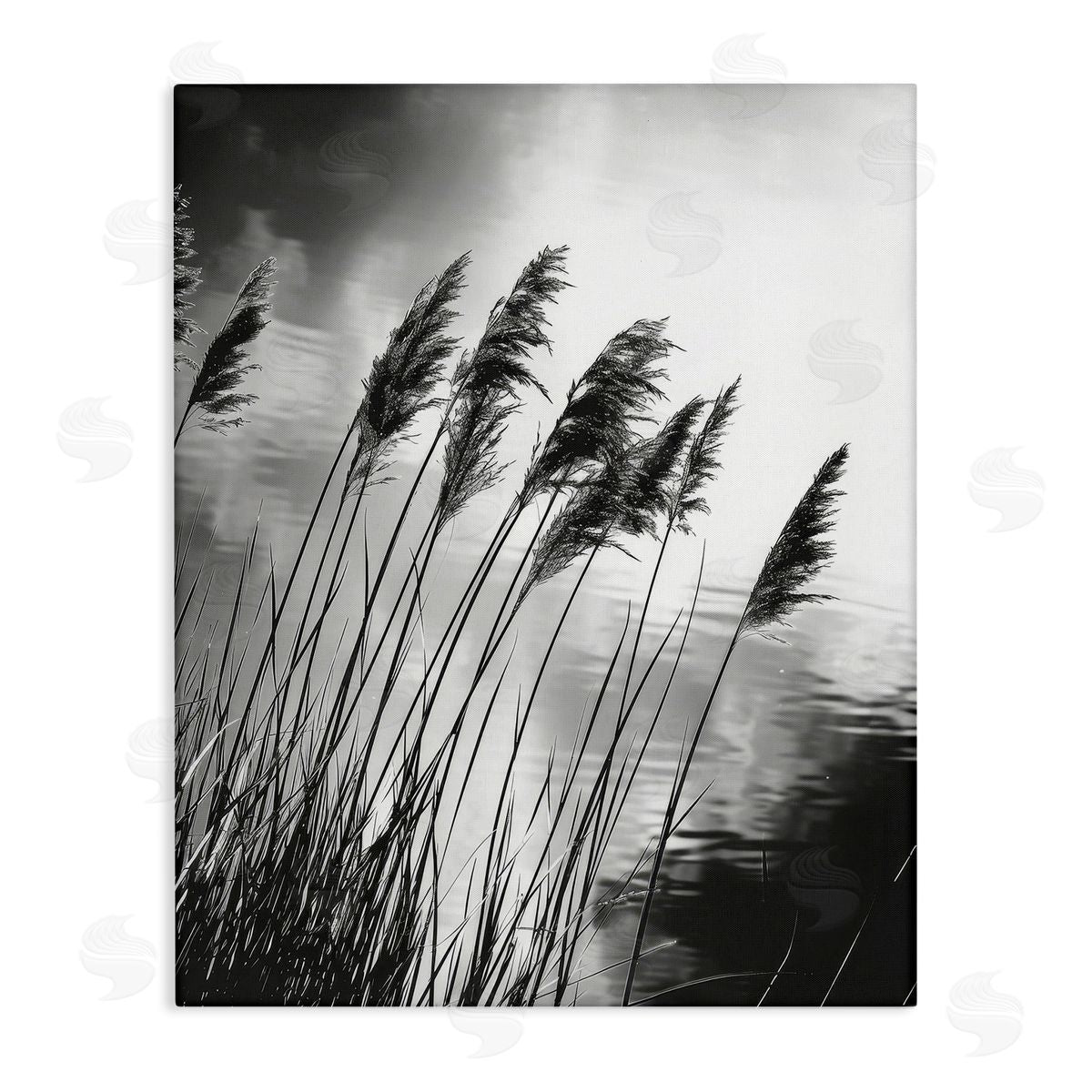 Stark Contrast Wheat Canvas Wall Art, Home Decor by Petal Prints Design