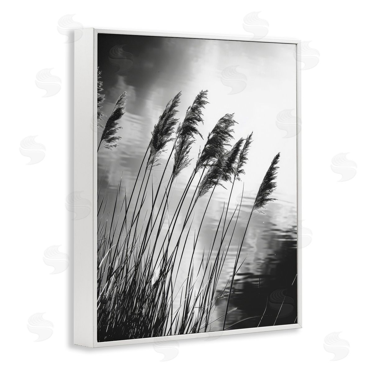 Stark Contrast Wheat White Frame Print Wall Art, Home Decor by Petal Prints Design