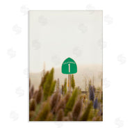 Crystal Lynn Collins | California Road Sign View