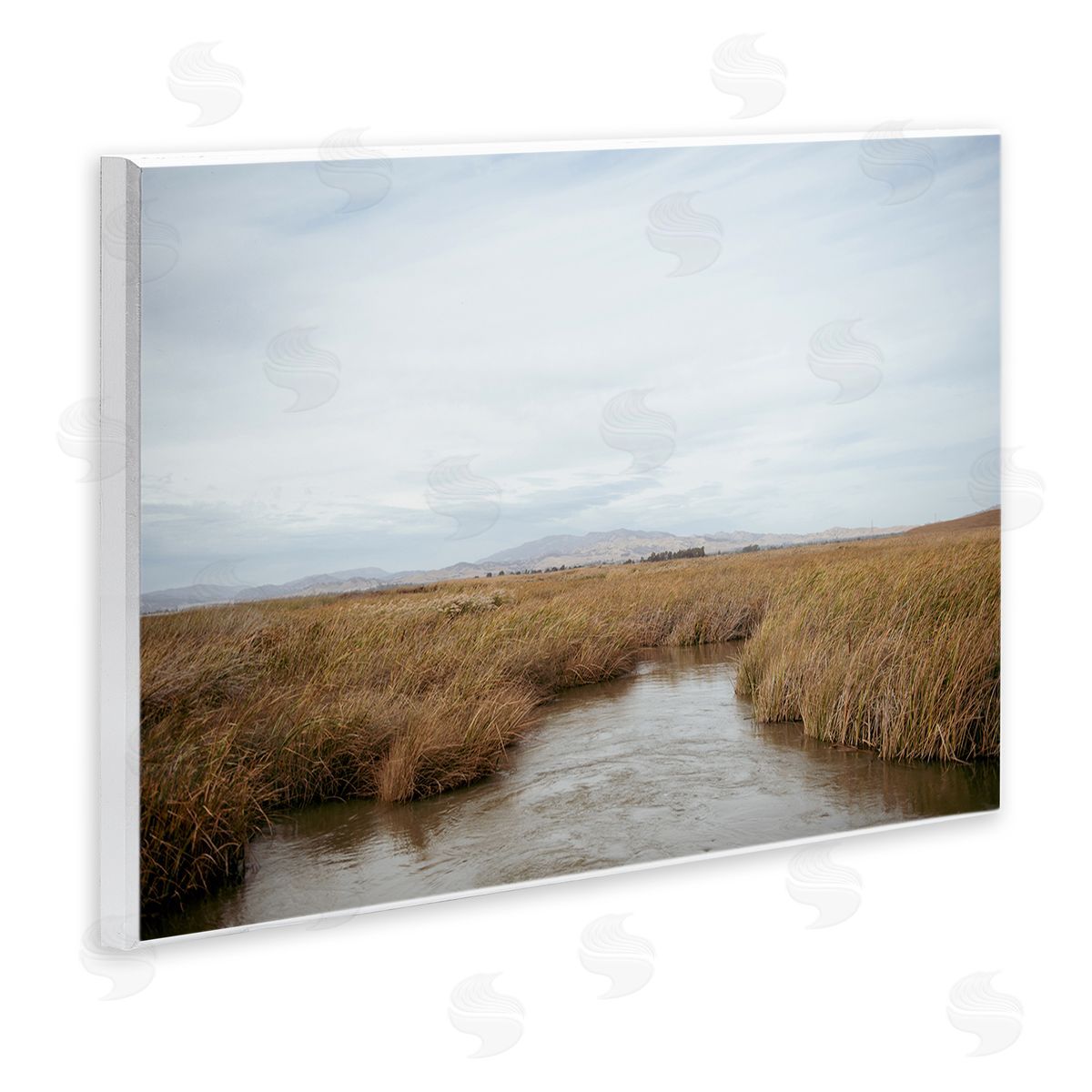 Marshland Stream View Wood Plaque Wall Art, Home Decor by Crystal Lynn Collins
