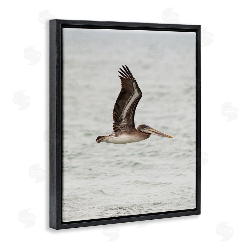 Crystal Lynn Collins | Pelican Over Sea