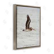 Crystal Lynn Collins | Pelican Over Sea