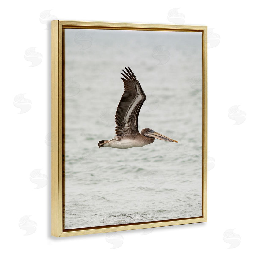 Crystal Lynn Collins | Pelican Over Sea