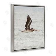 Crystal Lynn Collins | Pelican Over Sea