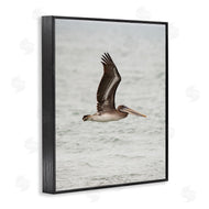 Crystal Lynn Collins | Pelican Over Sea