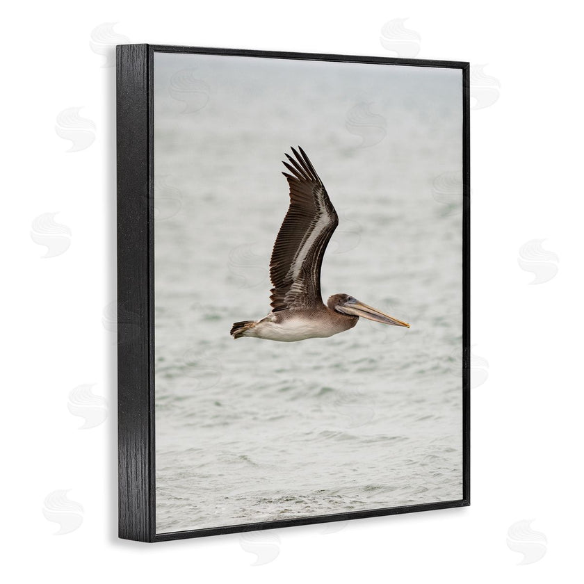 Crystal Lynn Collins | Pelican Over Sea