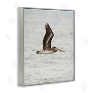Crystal Lynn Collins | Pelican Over Sea