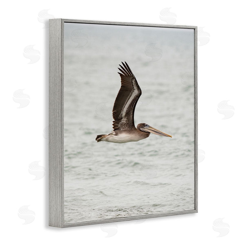Crystal Lynn Collins | Pelican Over Sea
