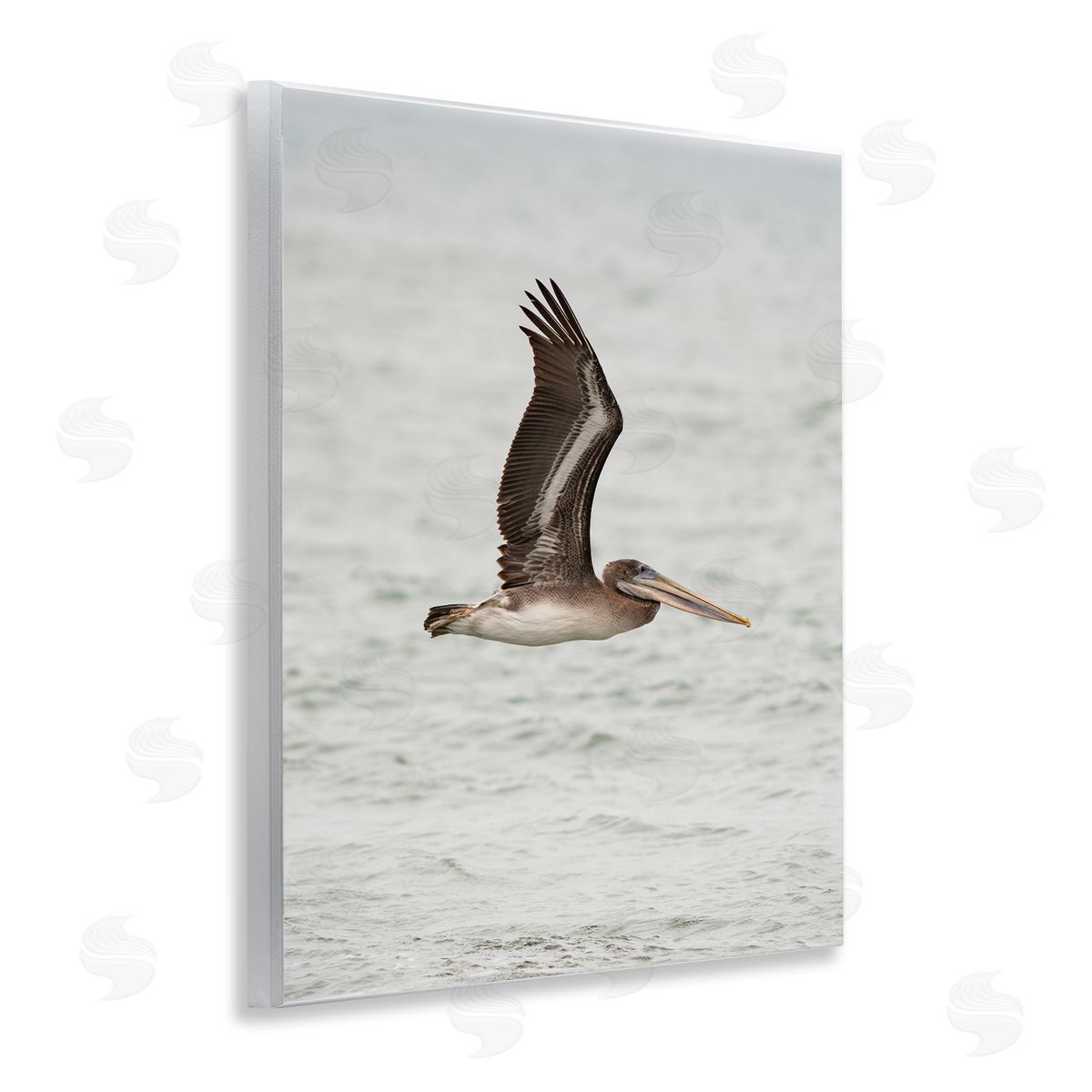 Pelican Over Sea Wood Plaque Wall Art, Home Decor by Crystal Lynn Collins