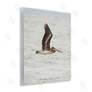 Crystal Lynn Collins | Pelican Over Sea