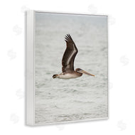 Crystal Lynn Collins | Pelican Over Sea