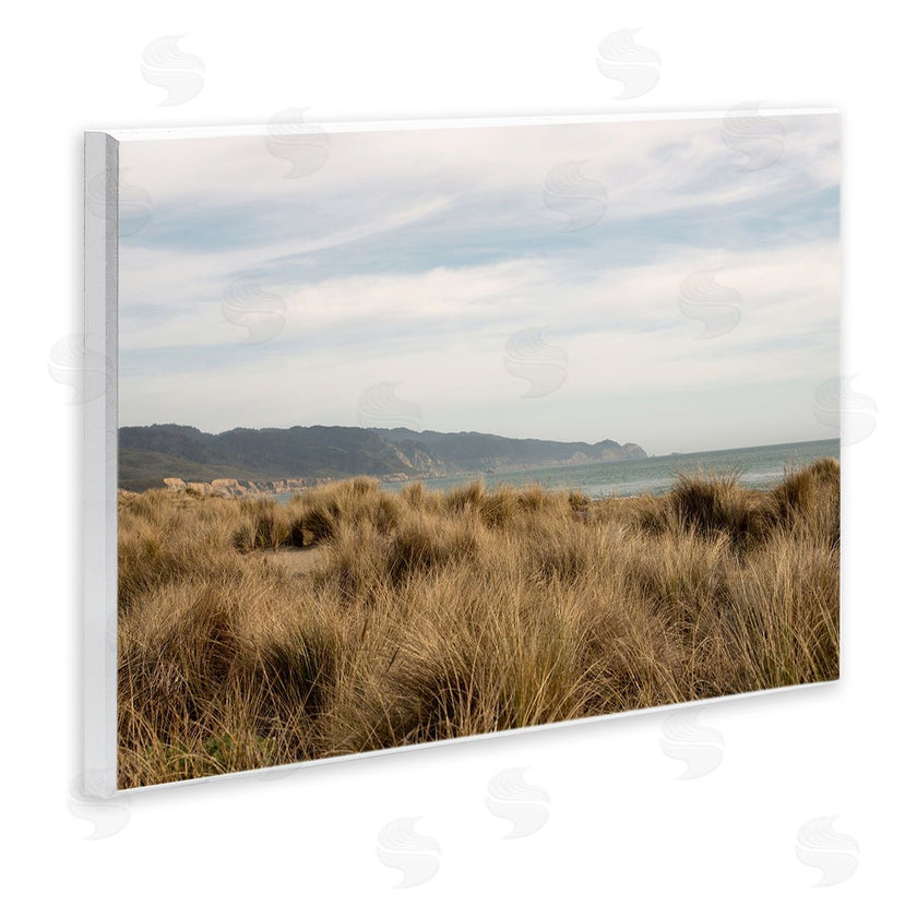 Crystal Lynn Collins | Windy Grass Dunes View