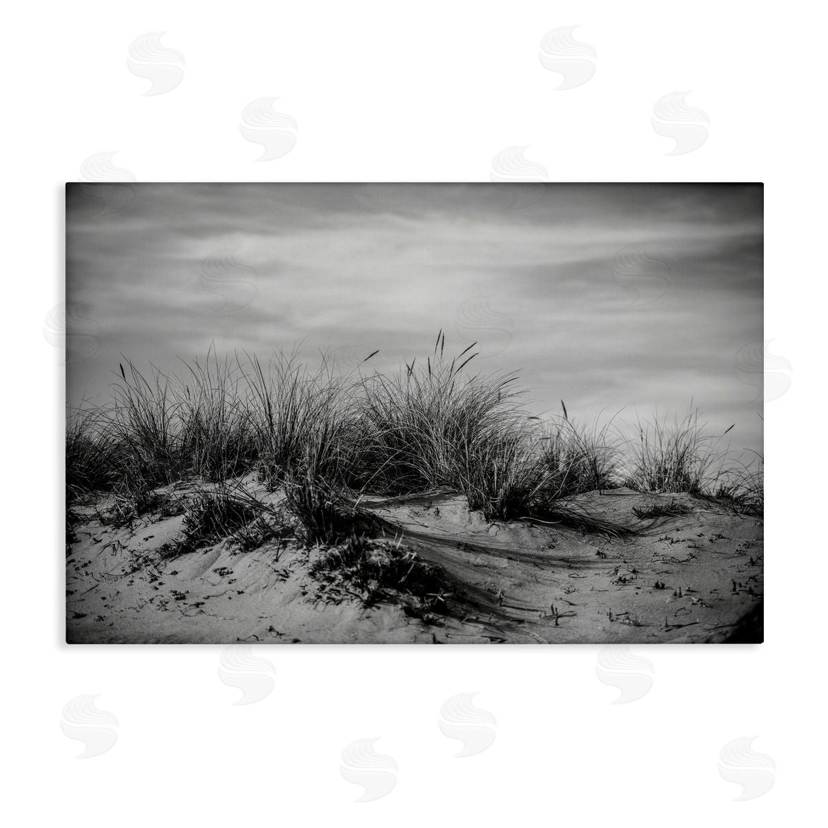 Point Reyes Beach Dunes Canvas Wall Art, Home Decor by Crystal Lynn Collins