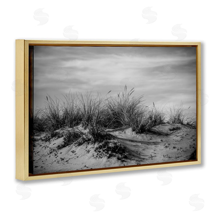 Crystal Lynn Collins | Point Reyes Beach Dunes