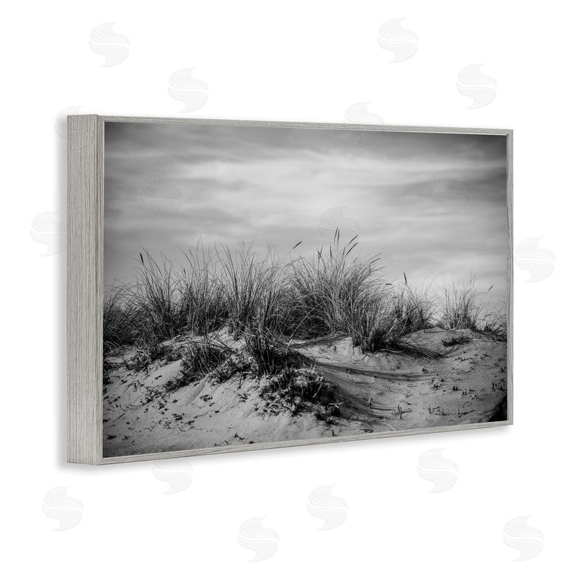 Crystal Lynn Collins | Point Reyes Beach Dunes