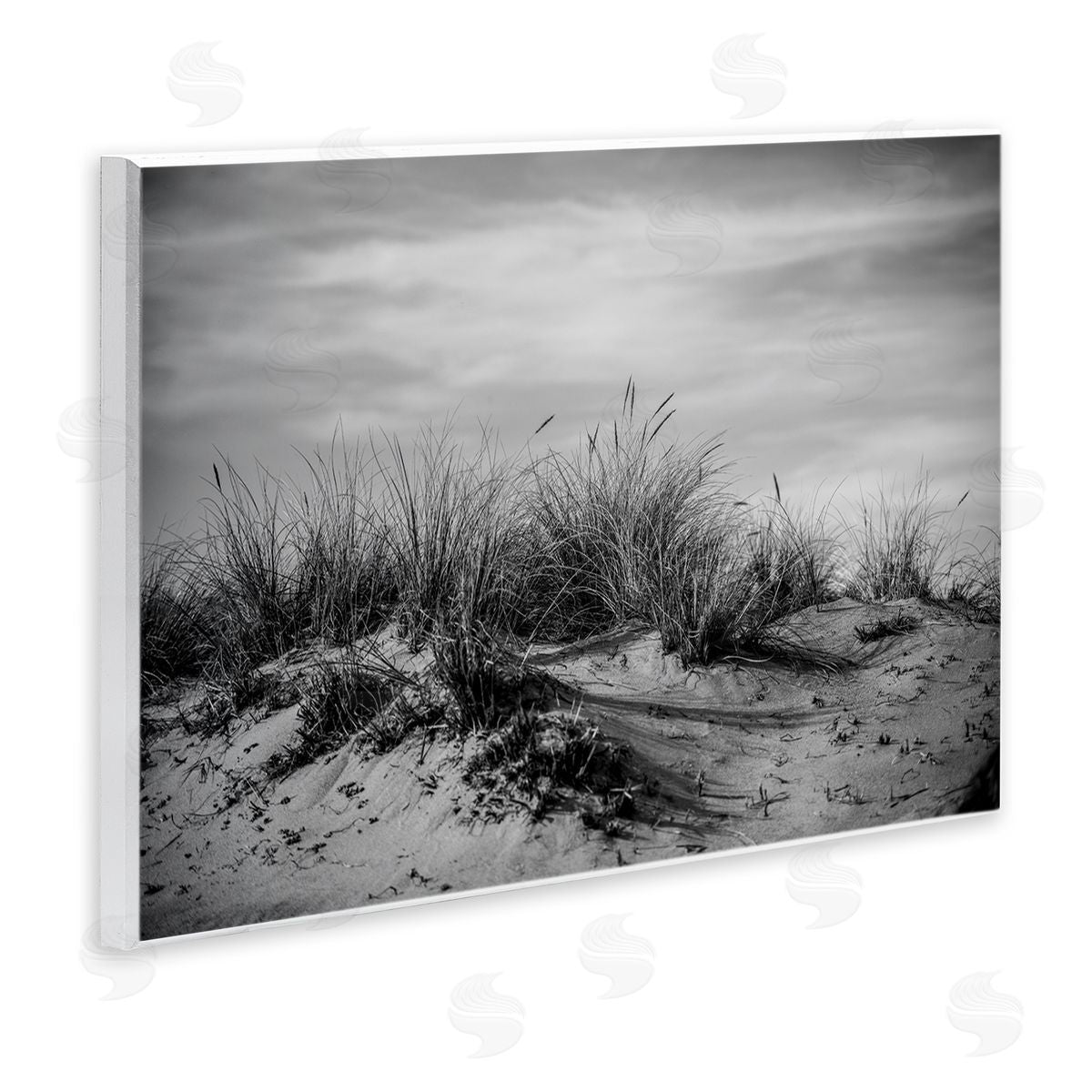 Point Reyes Beach Dunes Wood Plaque Wall Art, Home Decor by Crystal Lynn Collins