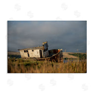 Crystal Lynn Collins | Old Shipwreck on Beach