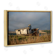 Crystal Lynn Collins | Old Shipwreck on Beach