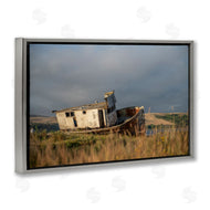 Crystal Lynn Collins | Old Shipwreck on Beach