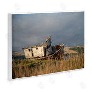 Crystal Lynn Collins | Old Shipwreck on Beach