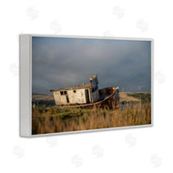 Crystal Lynn Collins | Old Shipwreck on Beach