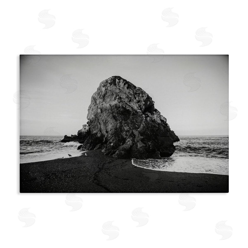 Crystal Lynn Collins | Sonoma Coast Landmark
