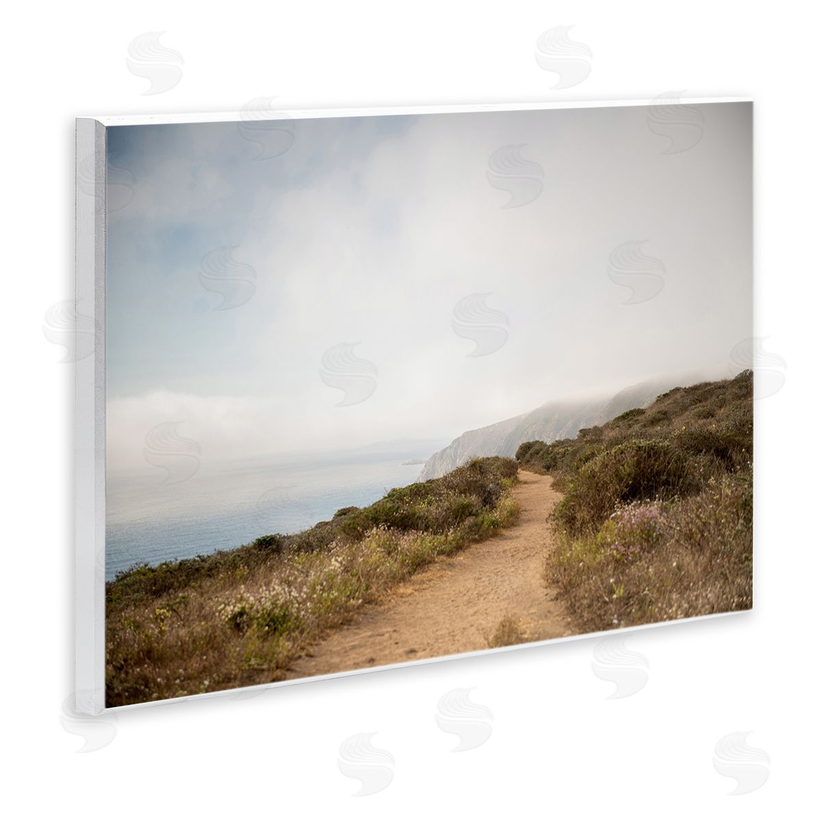 Wild Coast Pathway Wood Plaque Wall Art, Home Decor by Crystal Lynn Collins