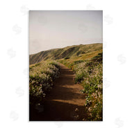 Crystal Lynn Collins | Path by Beach Coast