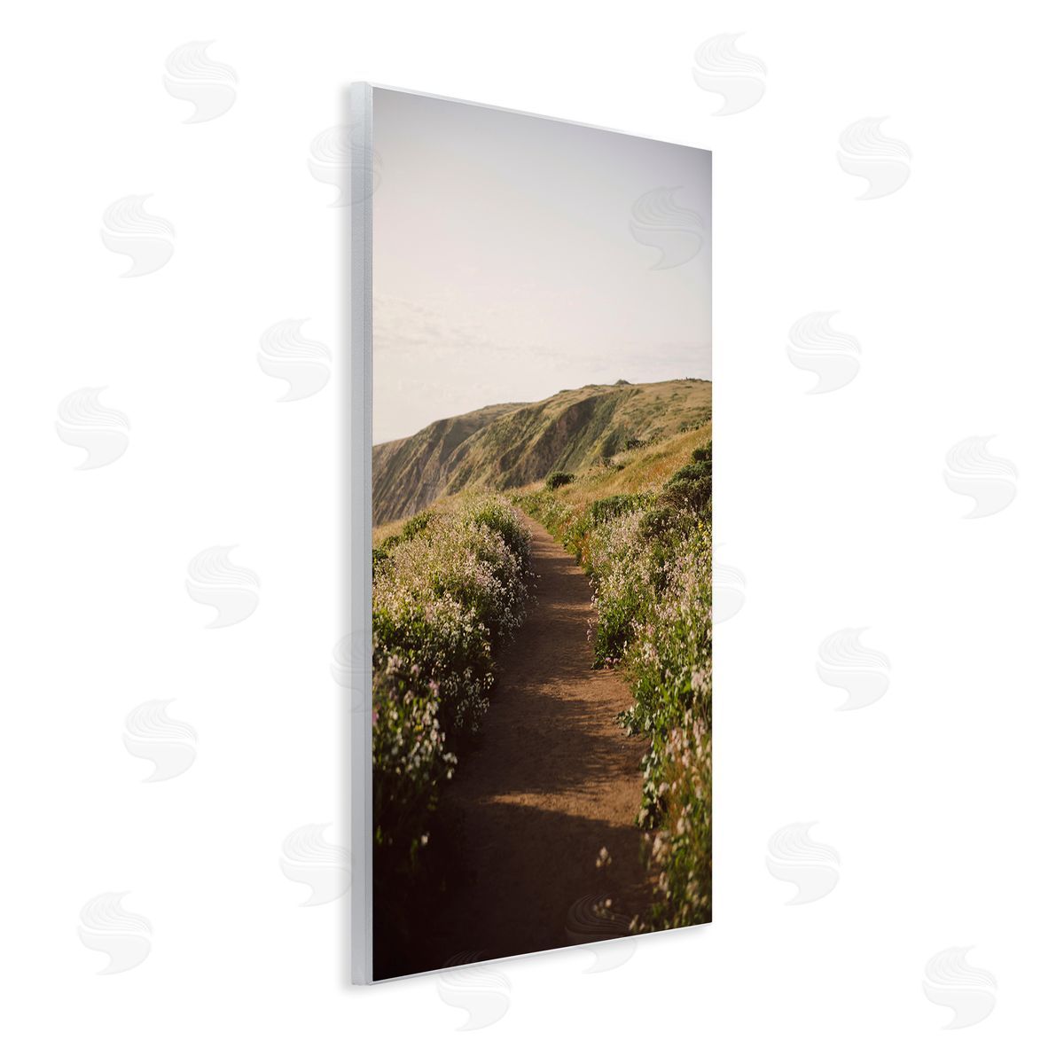 Path by Beach Coast Wood Plaque Wall Art, Home Decor by Crystal Lynn Collins