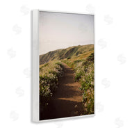 Crystal Lynn Collins | Path by Beach Coast