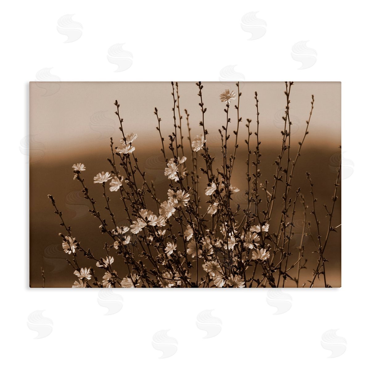Tiny Blooming Flowers Canvas Wall Art, Home Decor by Nancy Crowell