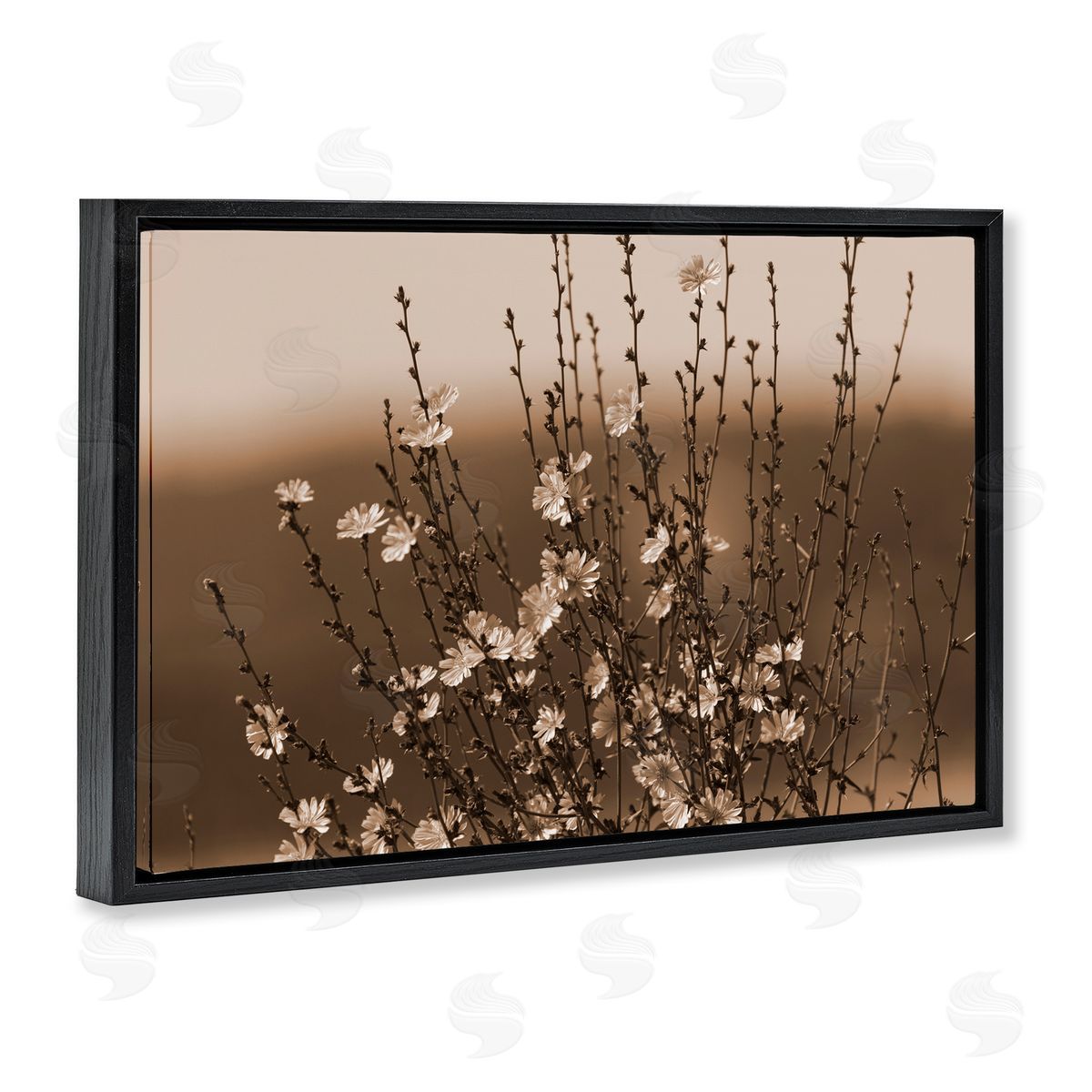 Tiny Blooming Flowers Black Floating Frame Canvas Wall Art, Home Decor by Nancy Crowell