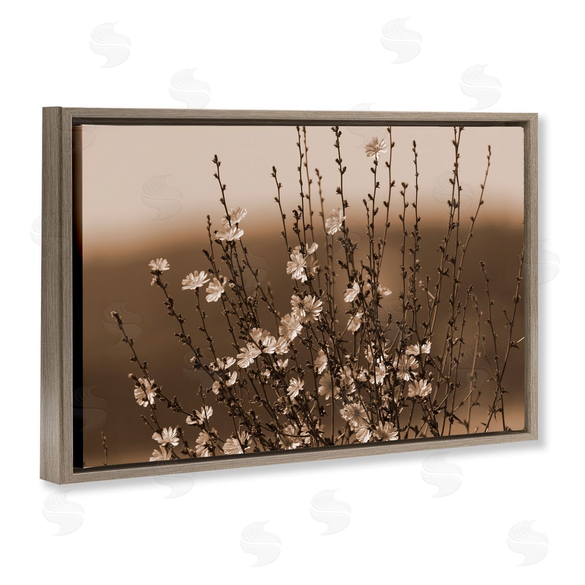 Tiny Blooming Flowers Brown Floating Frame Canvas Wall Art, Home Decor by Nancy Crowell