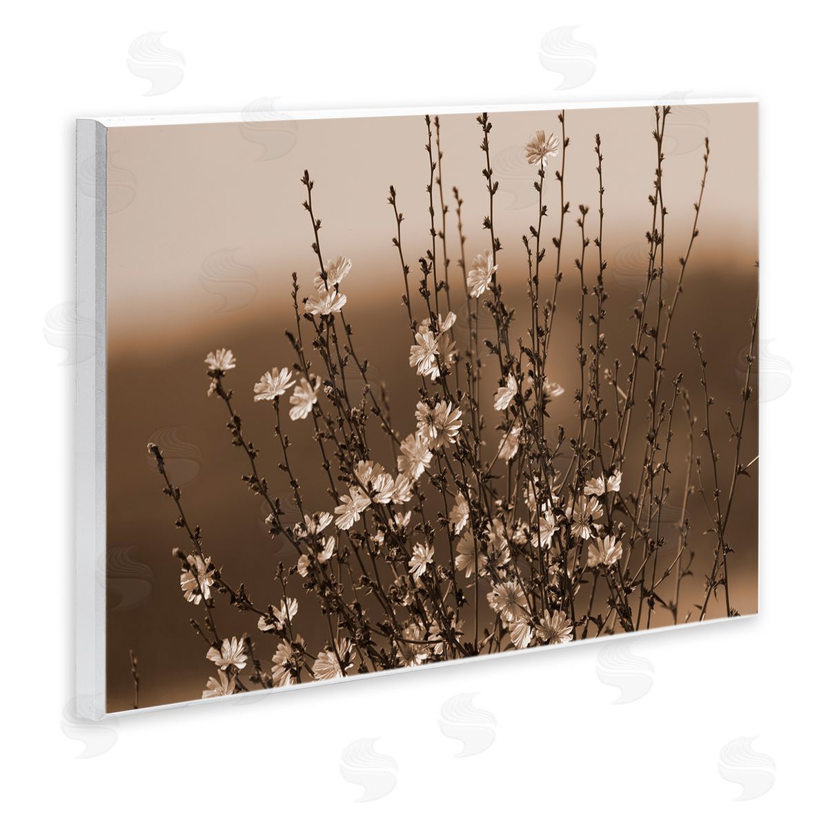 Tiny Blooming Flowers Wood Plaque Wall Art, Home Decor by Nancy Crowell