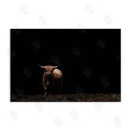 Nathan Larson | Dark Contrast Highland Cow
