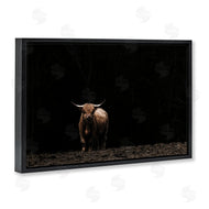 Nathan Larson | Dark Contrast Highland Cow