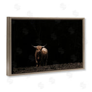 Nathan Larson | Dark Contrast Highland Cow