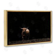 Nathan Larson | Dark Contrast Highland Cow
