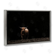 Nathan Larson | Dark Contrast Highland Cow