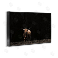 Nathan Larson | Dark Contrast Highland Cow